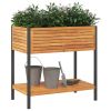 Garden Planter with Shelf 31.5"x17.7"x31.5" Solid Wood Acacia and Steel