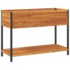 Garden Planter with Shelf 43.3"x17.7"x31.5" Solid Wood Acacia and Steel